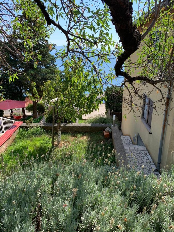 Apartment Ivanka Senj (Lika-Senj) Exterior foto